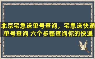 北京宅急送单号查询，宅急送快递单号查询 六个步骤查询你的快递